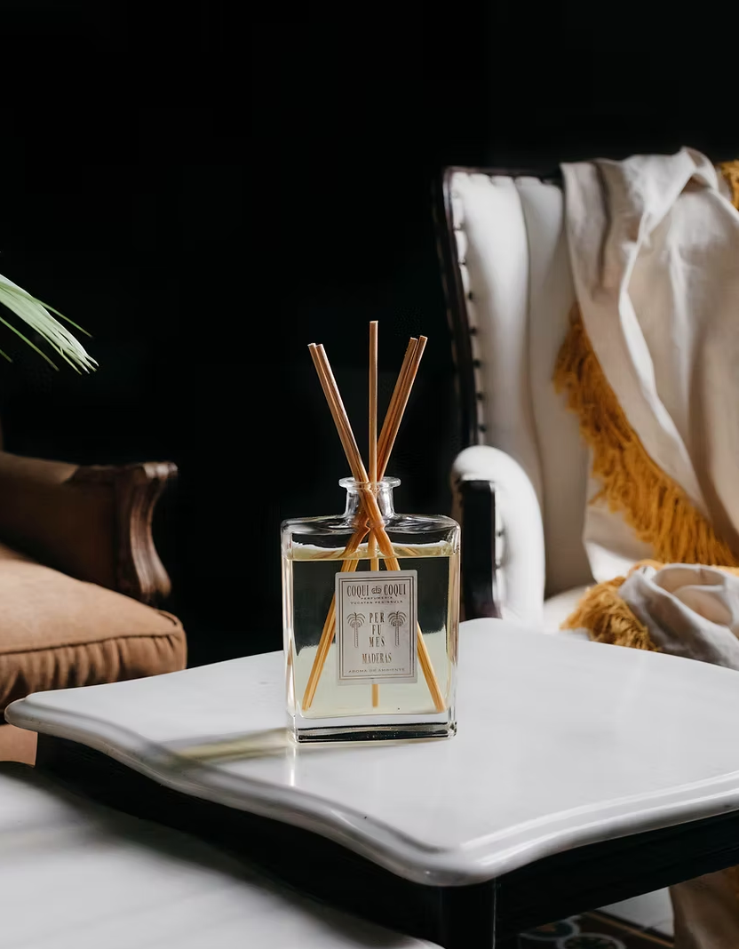 Room Diffuser | Agave